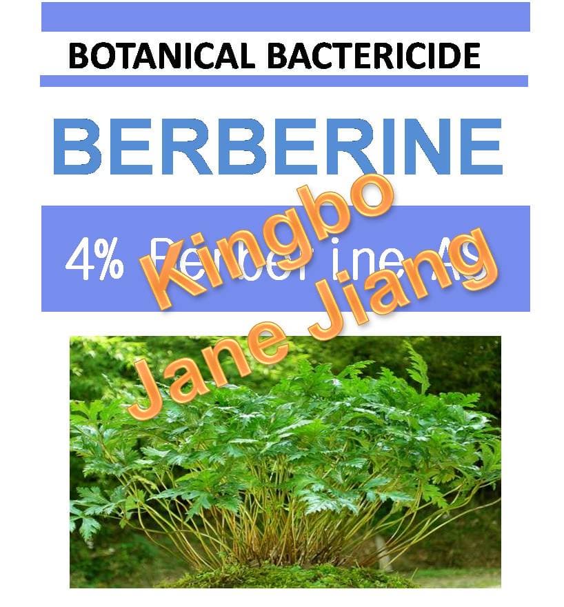 botanical bactericide_ 4_ Berberine AS_ natural plant extrac